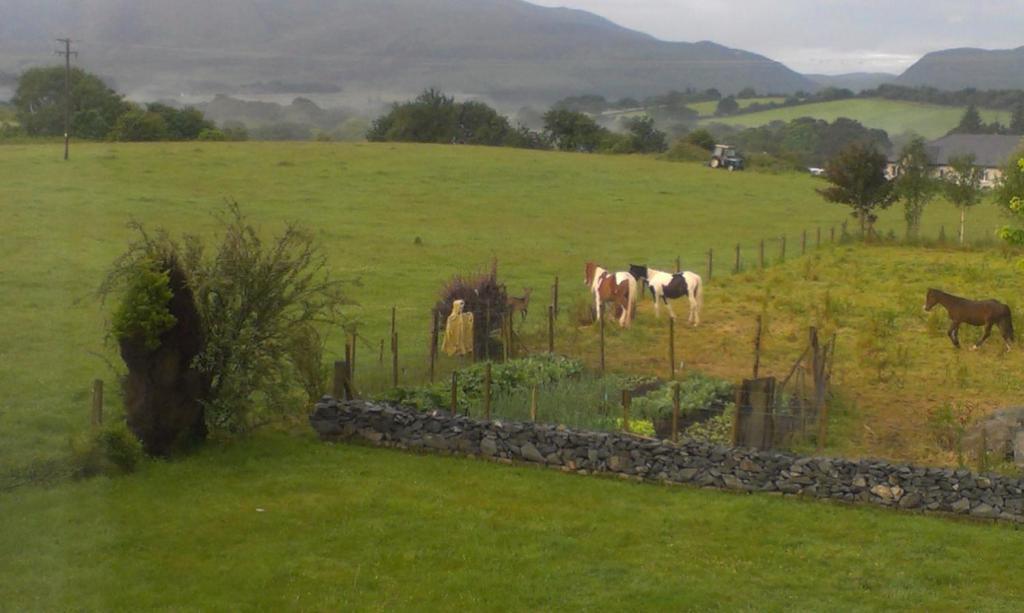 Bed and Breakfast Dunn Court House Killarney Exterior foto