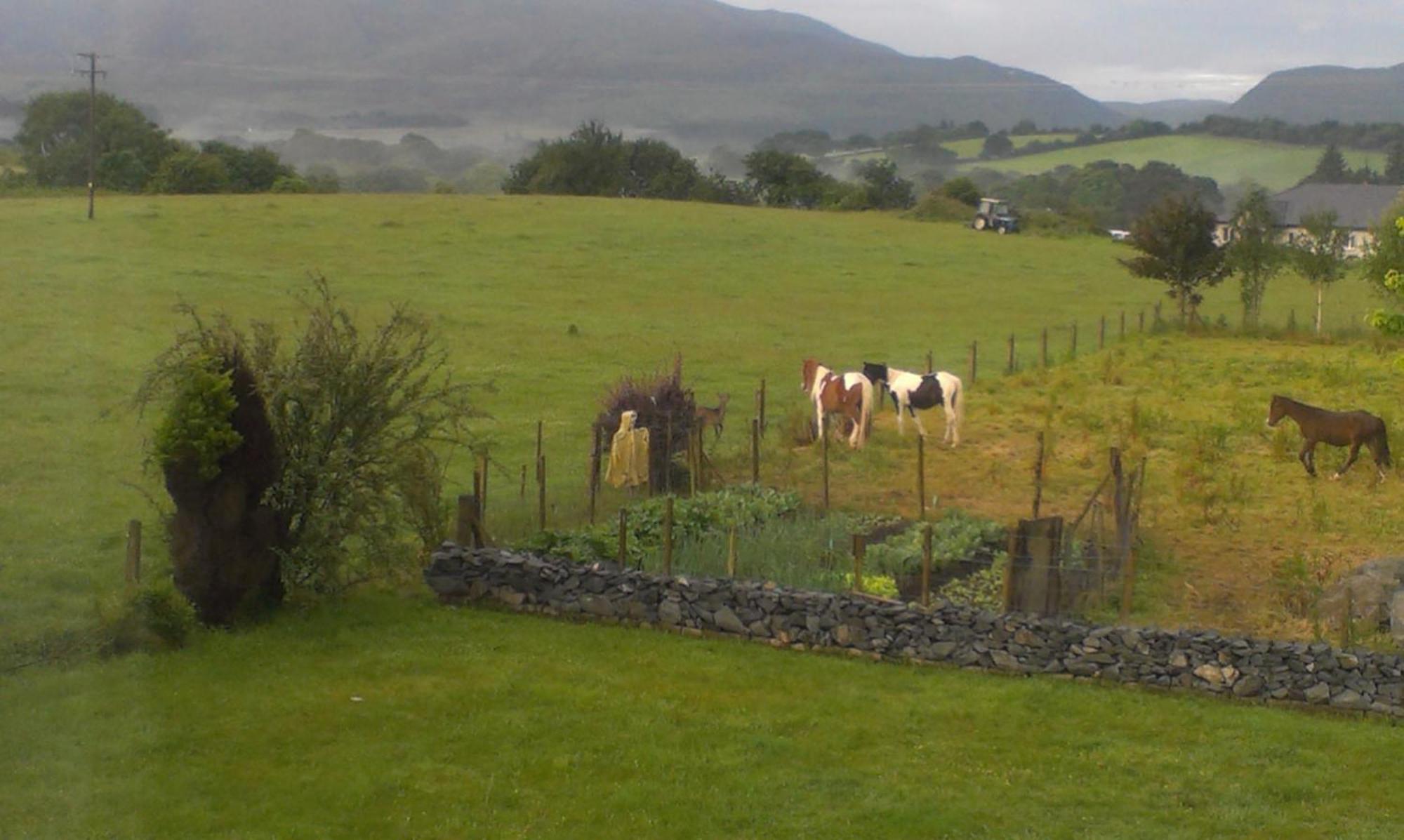 Bed and Breakfast Dunn Court House Killarney Exterior foto